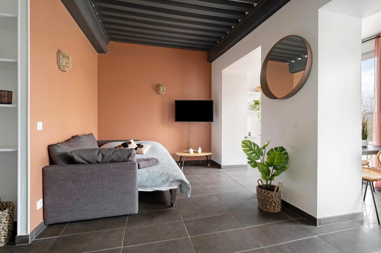 Lyon Cite- Appartement Vue Rhone Terrasse-Caluire 外观 照片